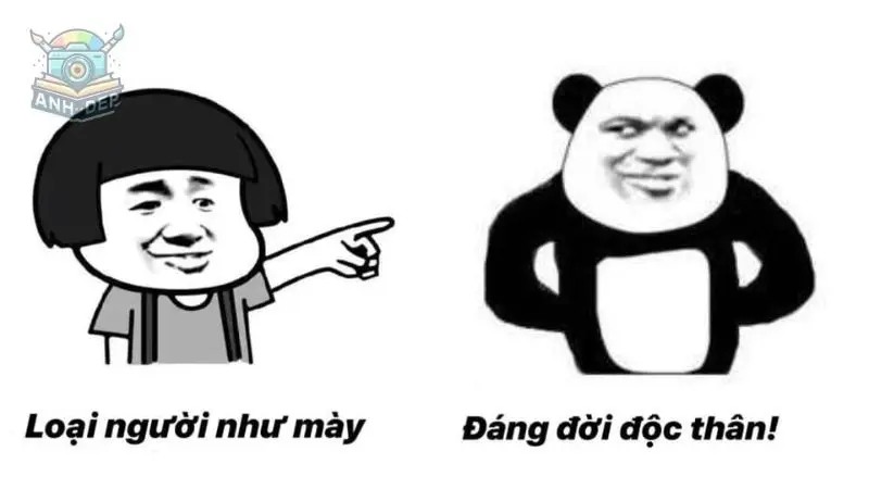 Tổng hợp 99+ ảnh gấu trúc meme hài hước và đáng yêu nhất