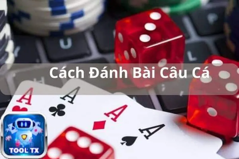 Khám phá cách đánh bài câu cá từ cao thủ giật tiền khủng 