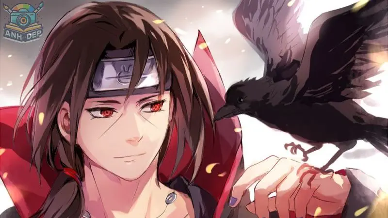 Tải miễn phí 99+ tranh tô màu Uchiha Itachi cho fan Naruto