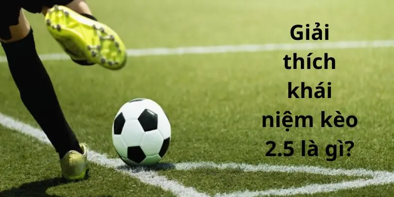 Giải thích khái niệm kèo 2.5 là gì? Giải thích khái niệm kèo 2.5 là gì?