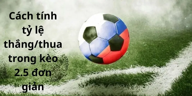 Cách tính tỷ lệ thắng/thua trong kèo 2.5 đơn giản Cách tính tỷ lệ thắng/thua trong kèo 2.5 đơn giản