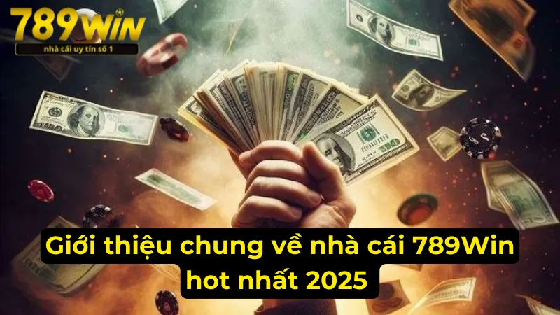 Giới thiệu chung về thiên đường giải trí 789Win hot nhất 2025 Giới thiệu chung về thiên đường giải trí 789Win hot nhất 2025