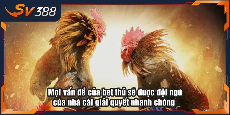 Mọi vấn đề của bet thủ sẽ được đội ngũ của nhà cái giải quyết nhanh chóng Mọi vấn đề của bet thủ sẽ được đội ngũ của nhà cái giải quyết nhanh chóng