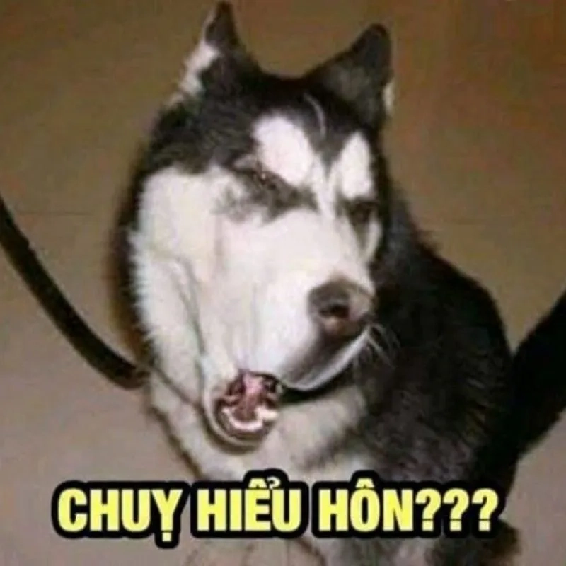 Cười thả ga với ảnh meme bựa siêu lầy và bựa