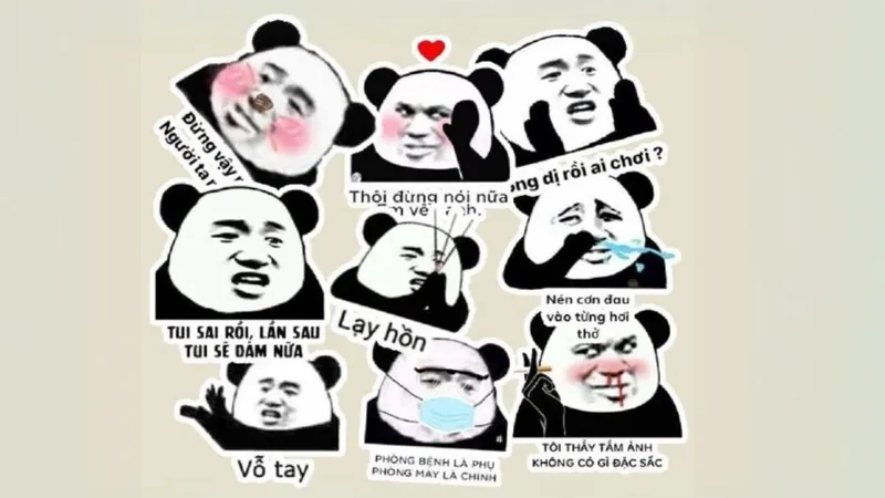 Không nhịn được cười với hài hước meme gấu trúc troll face