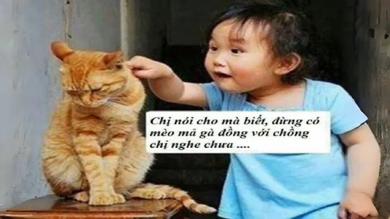 Siêu đáng yêu với meme cute hình icon dễ thương