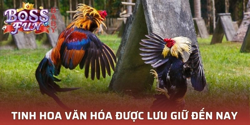 Tinh hoa văn hóa được lưu giữ đến ngày nay 