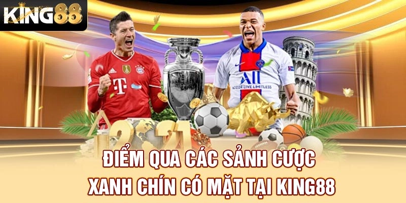 Mẹo Hạn Chế Rủi Ro Khi Chơi Cá Cược Thể Thao XX88 - Chiến Thuật Thông Minh Giúp Bạn Bảo Vệ Tài Chính Và Tăng Cơ Hội Thành Công
