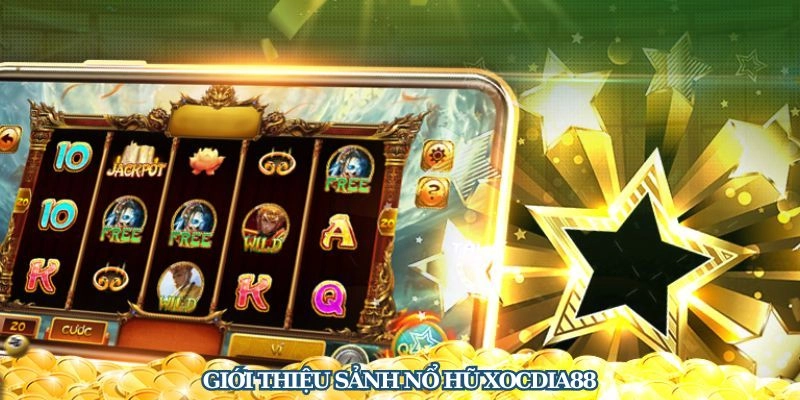Xocdia88 - Bí Mật Chơi Xóc Đĩa Online Đỉnh Cao, Thắng Lớn