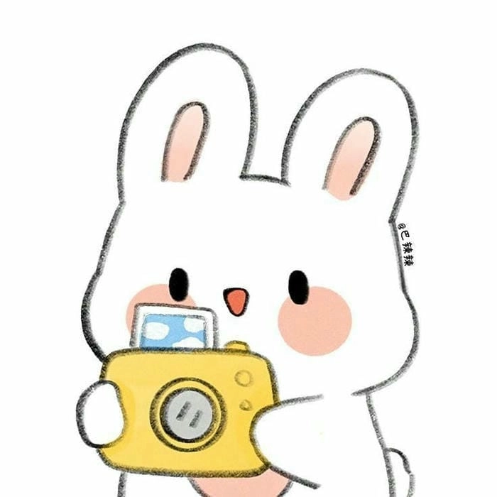 Khám phá ngay những chú thỏ cute đáng yêu