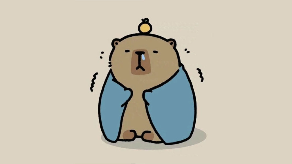 Làm mới diện mạo với avatar avatar ảnh capybara chibi cute