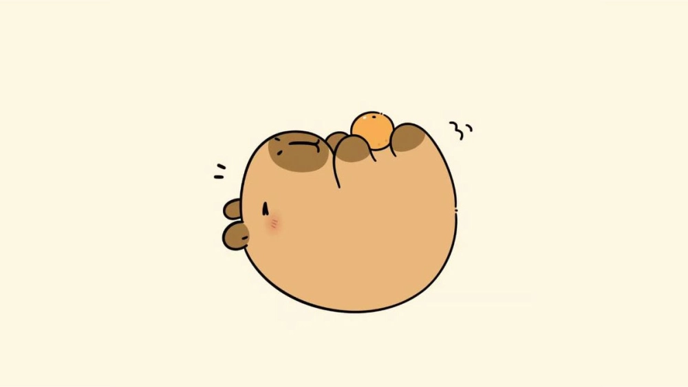 Tận hưởng trọn bộ avatar chibi chibi avatar hình nền capybara cute