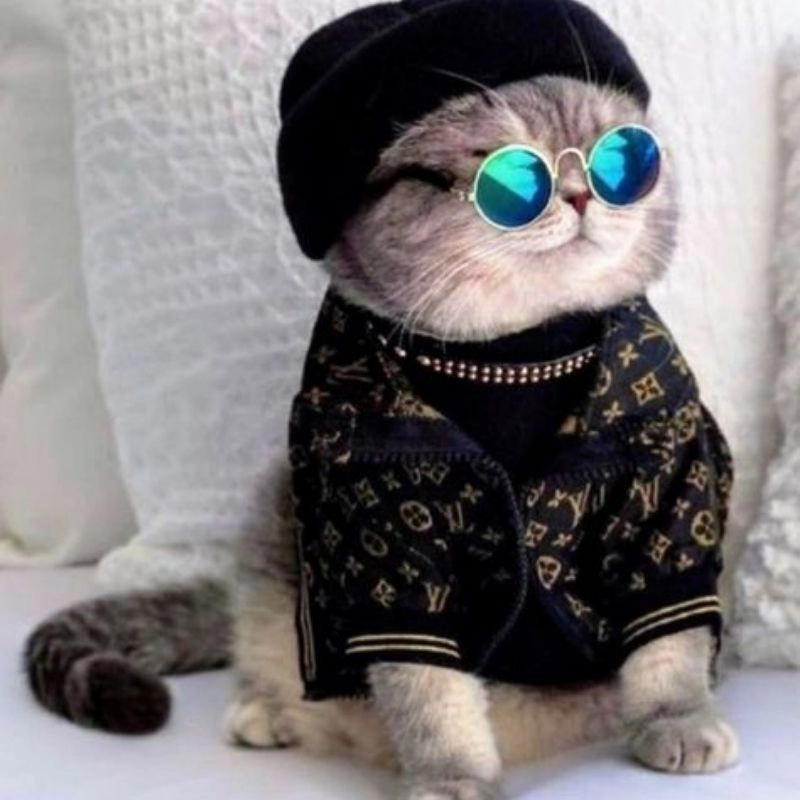 Thể hiện phong cách với avatar mèo chibi cute
