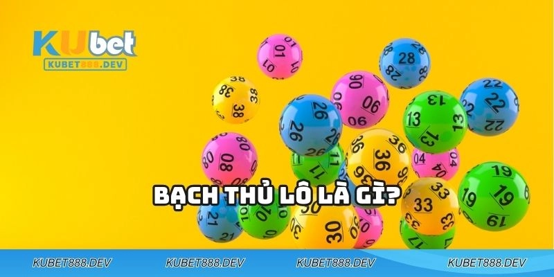 Bạch thủ lô là gì?