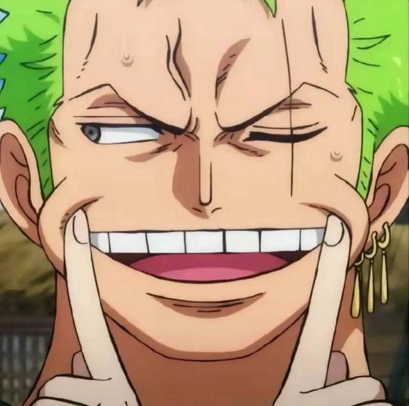 Tổng hợp các hình zoro chibi cute