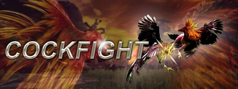  Blog đá gà cung cấp hướng dẫn đăng ký SV388 chi tiết, dễ hiểu.