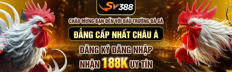  Link vào SV388 giúp bạn tham gia đá gà online mọi lúc, mọi nơi.