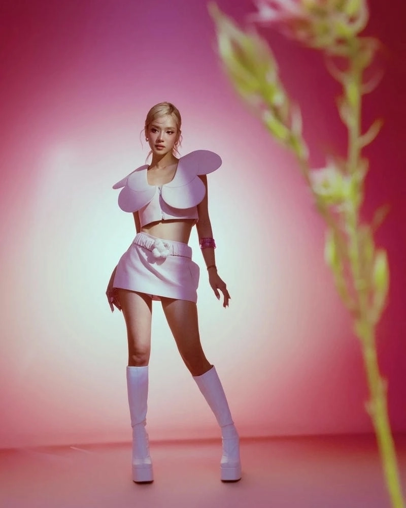 Thưởng thức Hoàng Yến Chibi Đồi Hoa Mặt Trời ngọt ngào