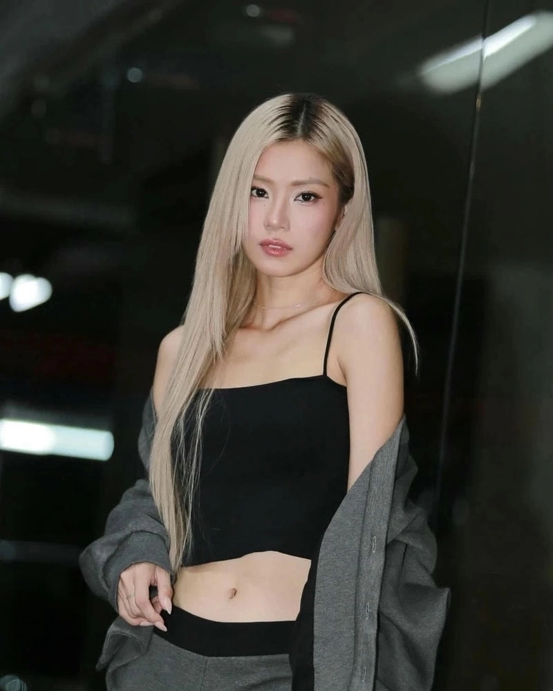 Đắm chìm trong Cánh Hồng Phai Hoàng Yến Chibi nhẹ nhàng