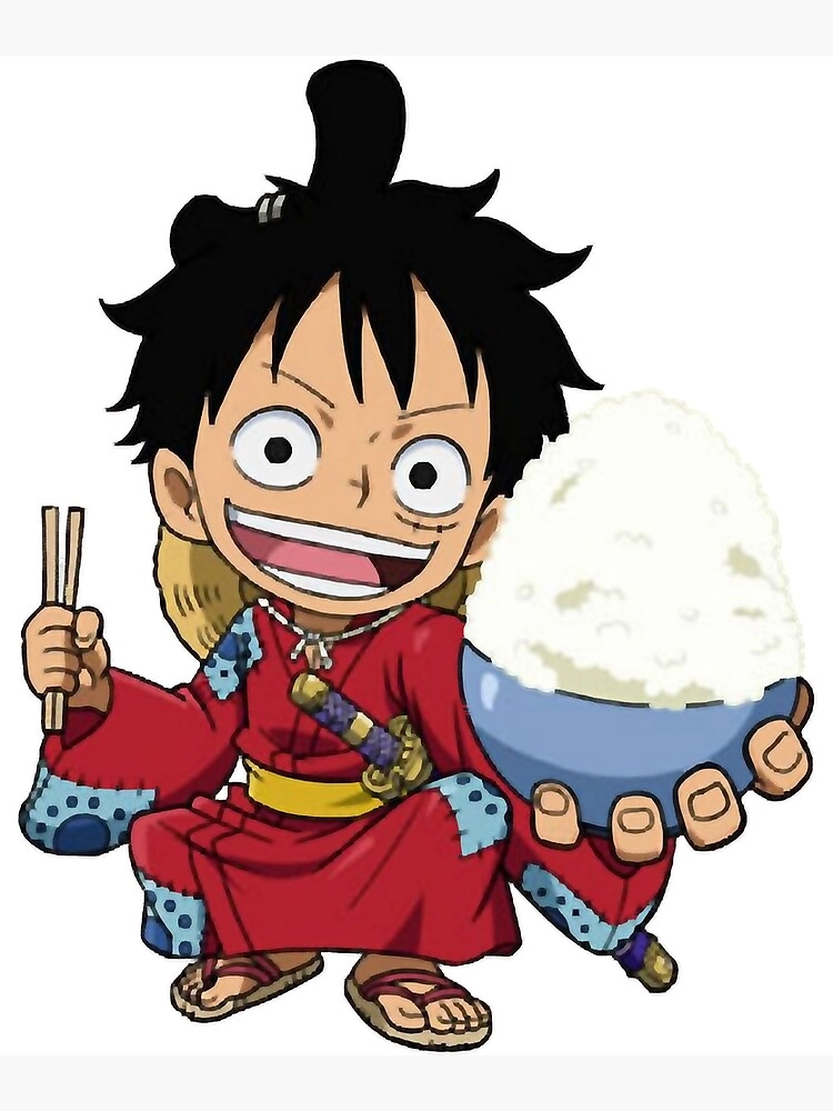 Khám phá đội hình băng hải tặc ảnh băng hải tặc mũ rơm chibi