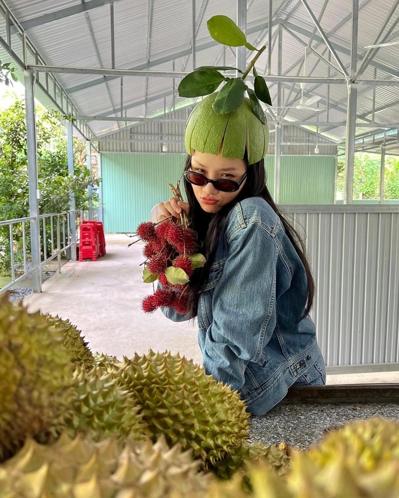 Playlist nhạc Miu Lê không thể bỏ qua
