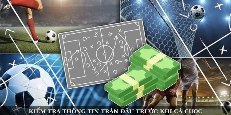 Kiểm tra thông tin trận đấu trước khi cá cược