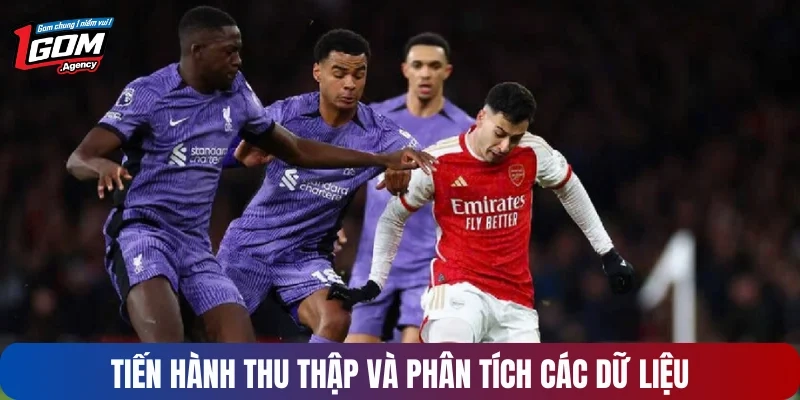 Tiến hành việc thu thập và phân tích mọi dữ liệu