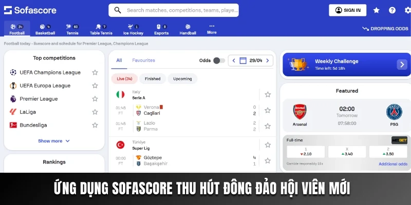 Ứng dụng Sofascore thu hút đông đảo hội viên mới  