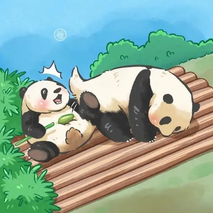 Ảnh gấu trúc chibi cute khiến tim người xem tan chảy