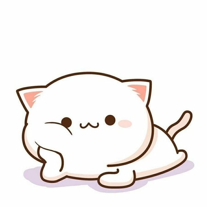 Avatar cute mèo chibi khiến trái tim rung rinh mãi