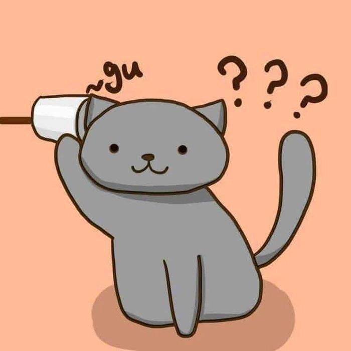 Avatar cute hình nền mèo chibi sắc nét và đáng yêu