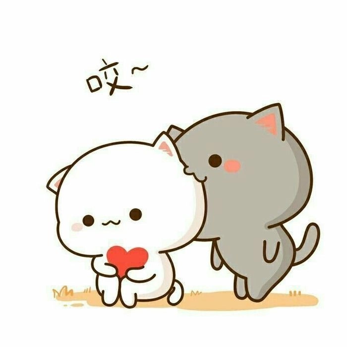 Avatar hình mèo cute chibi đẹp đến ngỡ ngàng