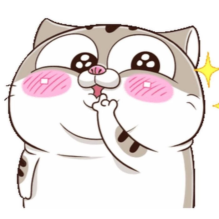 Mèo chibi avatar cute ngộ nghĩnh siêu đáng yêu