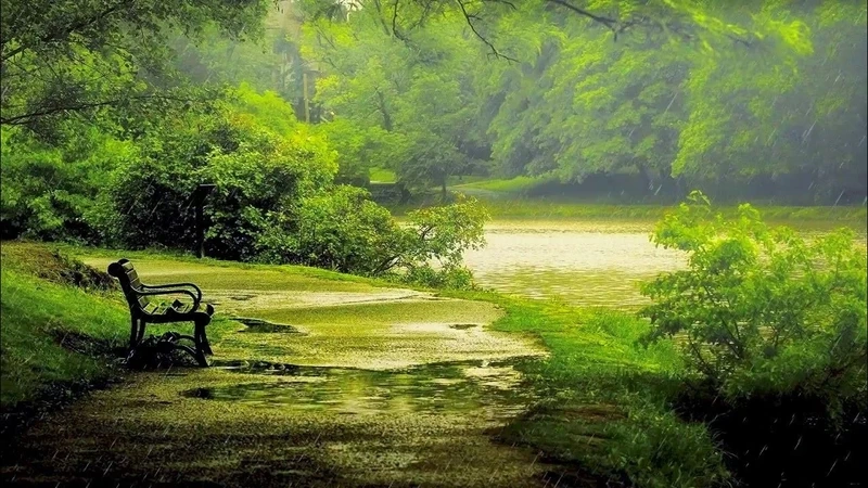 Trang bìa lặng lẽ với ảnh bìa phong cảnh buồn