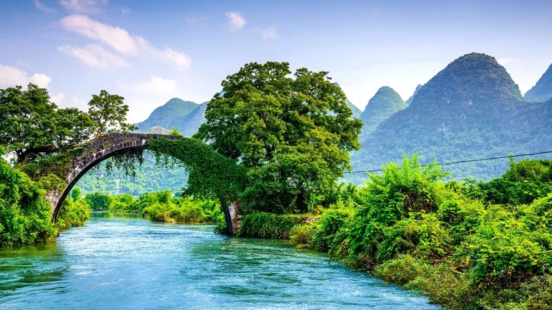 Cảm nhận từng nhịp sống qua thiên nhiên hình ảnh đẹp 3d