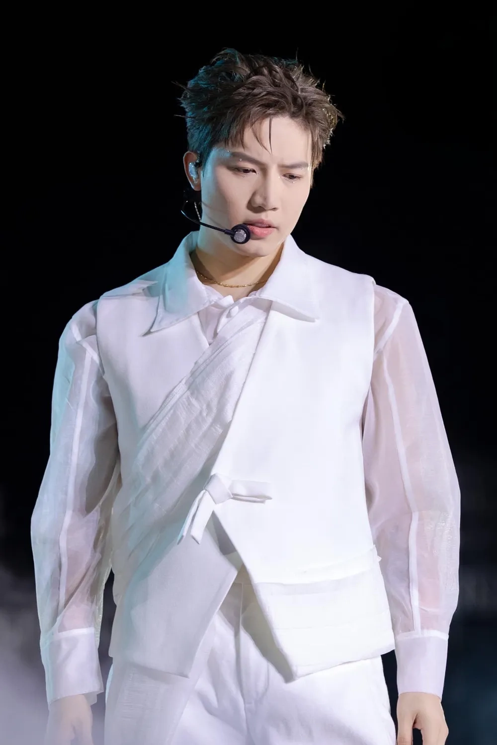 Nhiều người tò mò Anh Tú Voi cao bao nhiêu