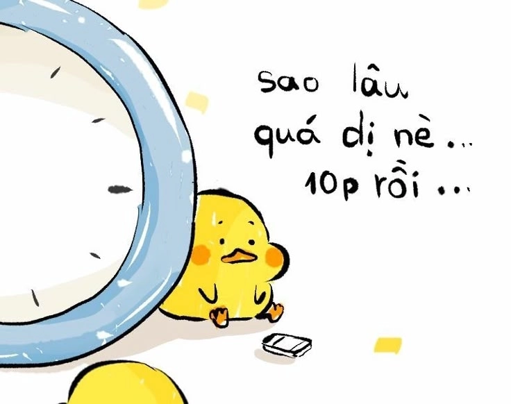 Hinh con vit cute dành cho mọi lứa tuổi