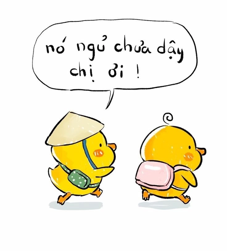 Ảnh chú vịt cute mang nét ngốc nghếch