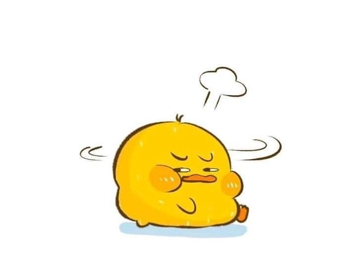 Ảnh vịt cute vui nhộn ngộ nghĩnh