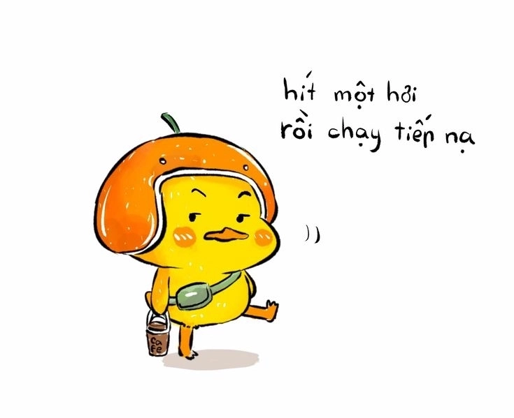 Ảnh vịt cute ngốc nghếch cực dễ thương