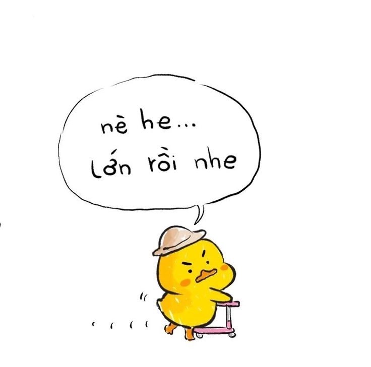 Ảnh con vịt cute phong cách dễ thương