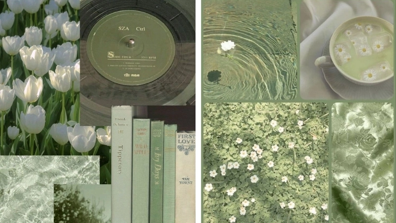 Ảnh màu xanh lá đẹp mang năng lượng sạch và mát