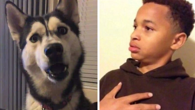 Meme ngạc nhiên gây bão vì biểu cảm quá đỉnh