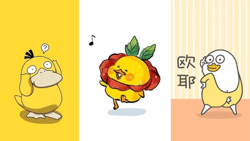 Avatar hình con vịt cute siêu hút mắt