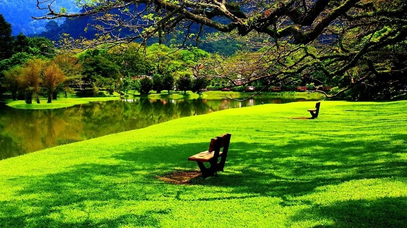 Đưa thiên nhiên vào cuộc sống bằng hình cảnh thiên nhiên đẹp