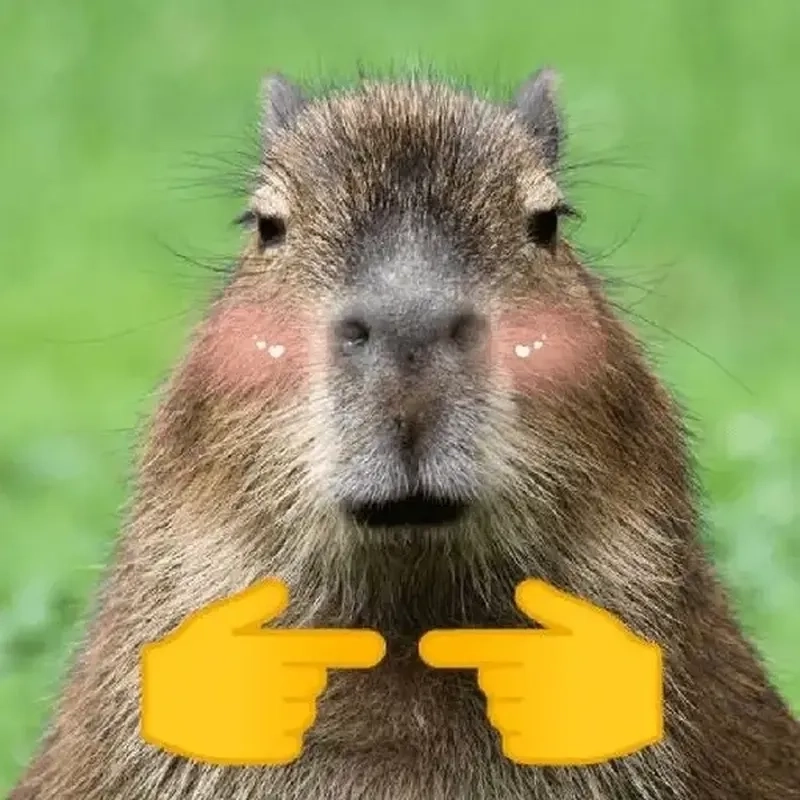 Capybara meme anime hòa quyện nét dễ thương Nhật