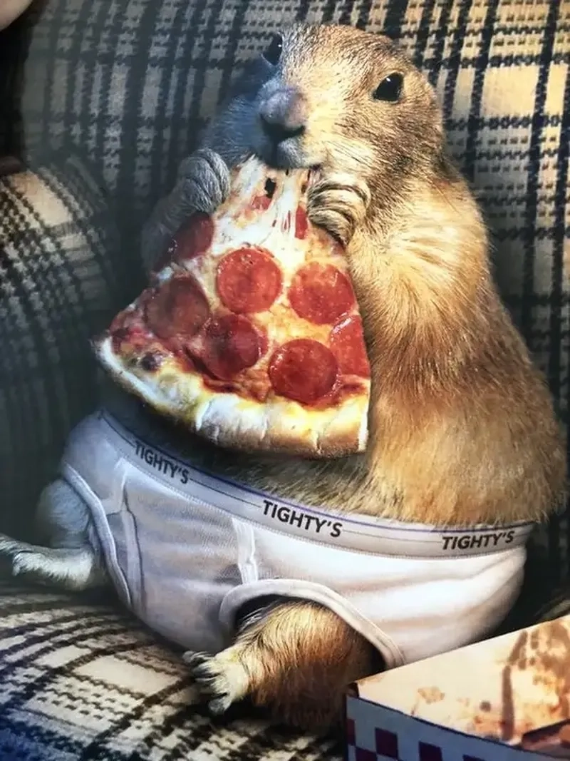 Capybara meme hoạt hình khiến ai cũng bật cười