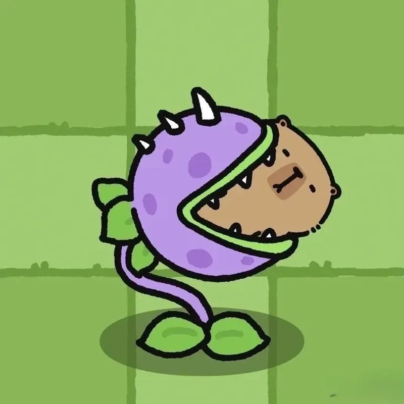 Airdrop capybara meme dành cho tín đồ crypto vui