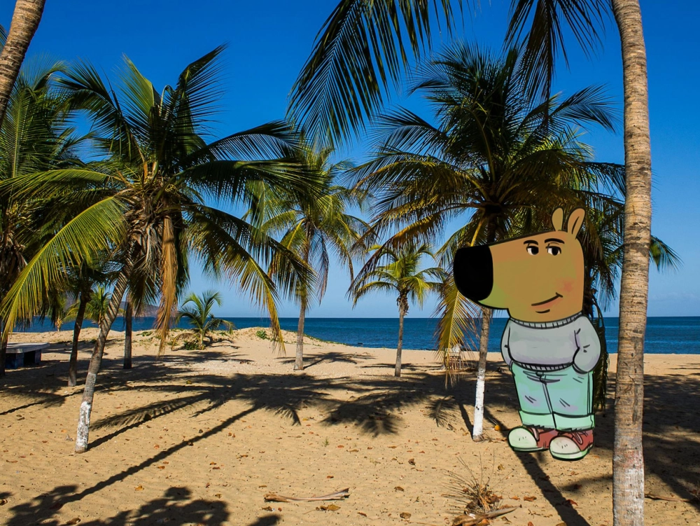 Chill guy png ảnh nền trong suốt siêu tiện lợi