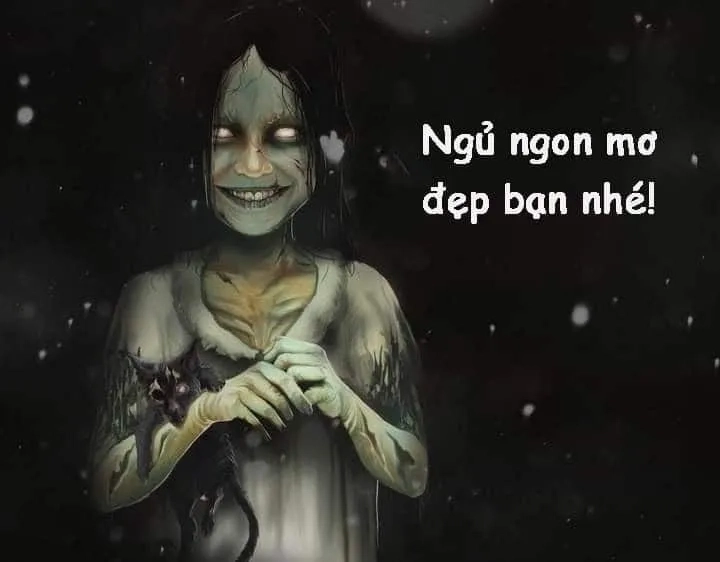 Meme chúc ngủ ngon dễ thương cực kỳ chill